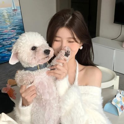 胖胖的搞笑 海报